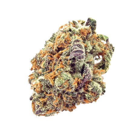 Триплоидные семена конопли Mimosa Triploid