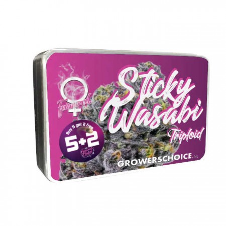 Триплоїдне насіння марихуани Sticky Wasabi Triploid F1